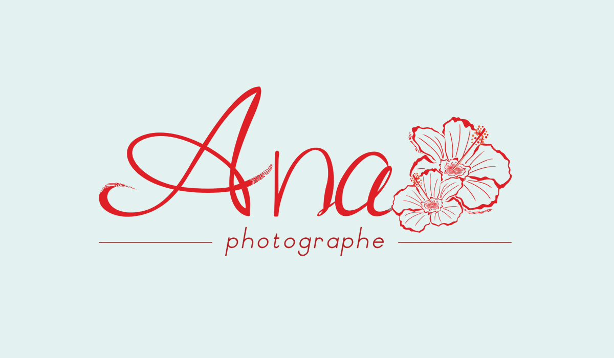 logotype Ana