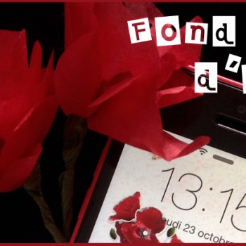 Fond d’écran coquelicot pour téléphone
