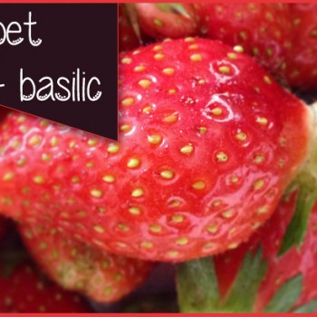 Ma recette de sorbet fraise-basilic